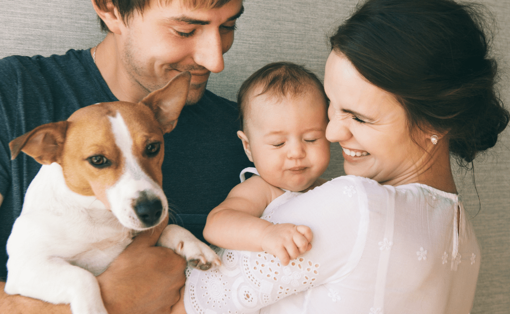 introducing dog to baby get help in Baltimore