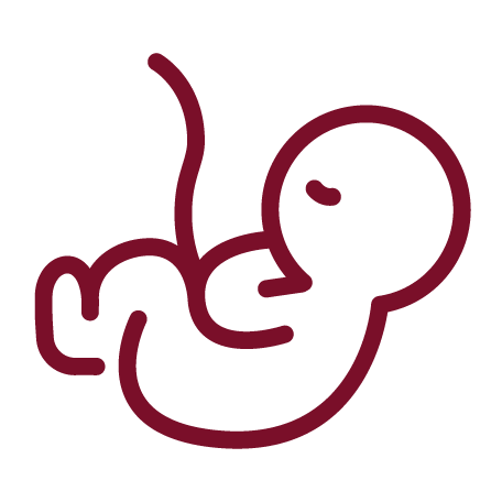 Icon of baby and umbilical cord. Doulas of Baltimore birth class 