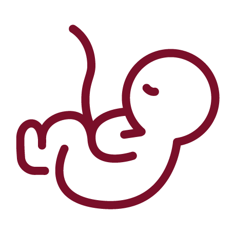 Icon of baby and umbilical cord. Doulas of Baltimore birth class 