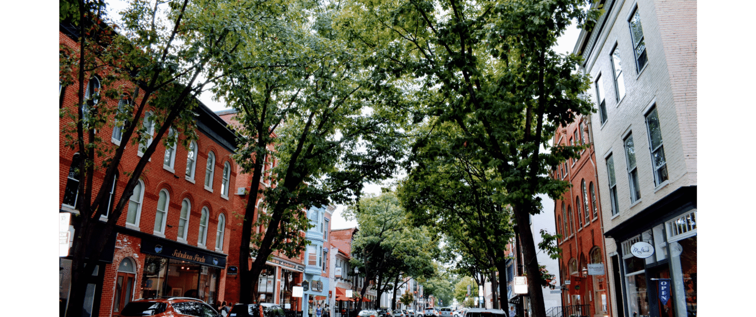 Downtown Frederick, MD street view shows brick buildings and tree-lined street.