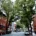 Downtown Frederick, MD street view shows brick buildings and tree-lined street.