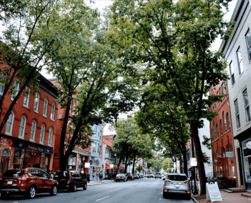 Downtown Frederick, MD street view shows brick buildings and tree-lined street.