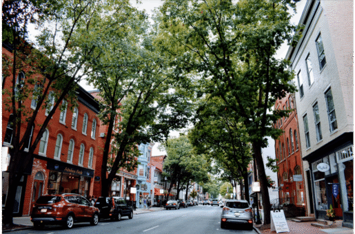 Downtown Frederick Downtown Frederick, MD street view shows brick buildings and tree-lined street.